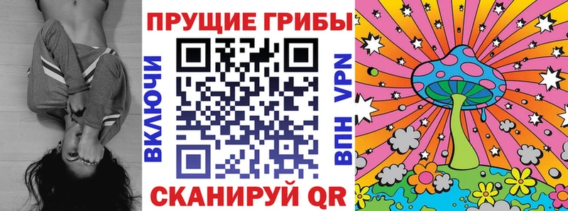 мега ТОР  Осинники  Псилоцибиновые грибы MAGIC MUSHROOMS  наркошоп 